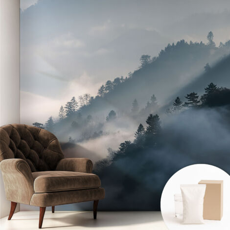 Papier peint intissé avec imprimé pour décoration intérieure pour rénovation a motif - Colle incluse gratuite Paysage brumeux 250x250 cm (1/5)