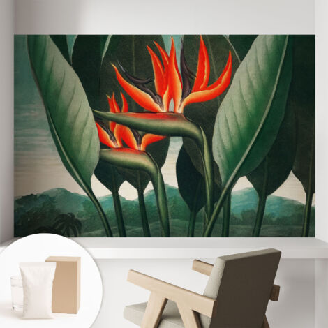 Papier peint intissé à motifs décoratifs pour salon chambre et bureau Décoration murale élégante avec colle Fleurs exotiques 104x70 cm (1/5)
