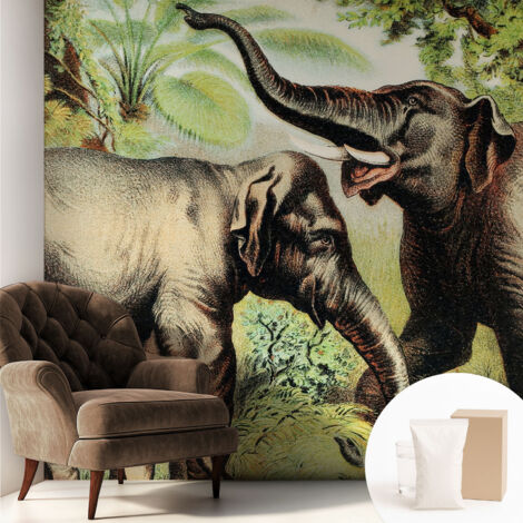 Papier peint intissé pour salon chambre à coucher peint imprimé Installation facile - Colle incluse gratuite Famille d'éléphants 250x250 cm (1/5)