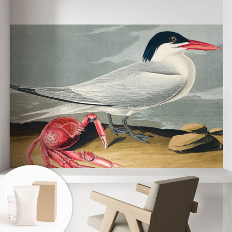 Papier peint intissé mural classique avec imprimé motifs décoratifs design élégant non‑tissé Paysage marin 104x70 cm (1/5)