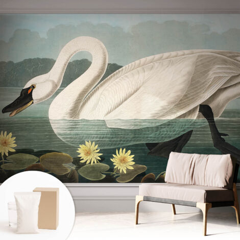 Papier peint intissé avec imprimé pour décoration intérieure pour rénovation a motif - Colle incluse gratuite Cygne et nénuphars 312x219 cm (1/5)
