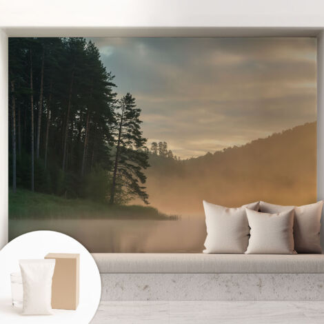 Papier peint intissé pour salon chambre à coucher peint imprimé Installation facile - Colle incluse gratuite Matin brumeux 208x146 cm (1/5)