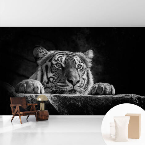 Papier peint intissé mural avec imprimé motifs uniques apparence moderne - Colle incluse gratuite Regard prédateur 416x254 cm (1/5)