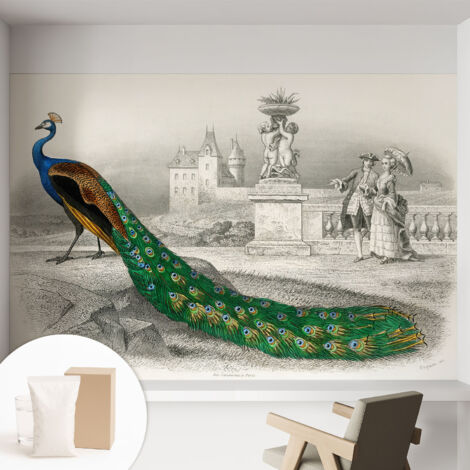 Papier peint intissé pour salon chambre à coucher peint imprimé Installation facile - Colle incluse gratuite Plumes colorées 152x104 cm (1/5)