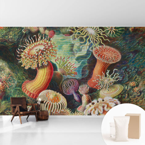 Papier peint intissé pour salon chambre à coucher peint imprimé pour mur - Colle incluse gratuite Anémones fantaisistes 416x254 cm (1/5)