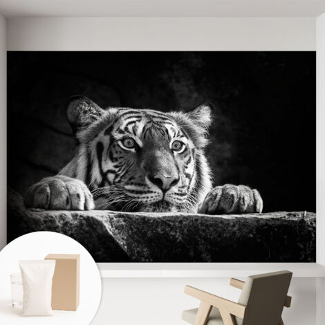 Papier peint intissé mural avec imprimé motifs uniques apparence moderne - Colle incluse gratuite Regard prédateur 152x104 cm (1/5)