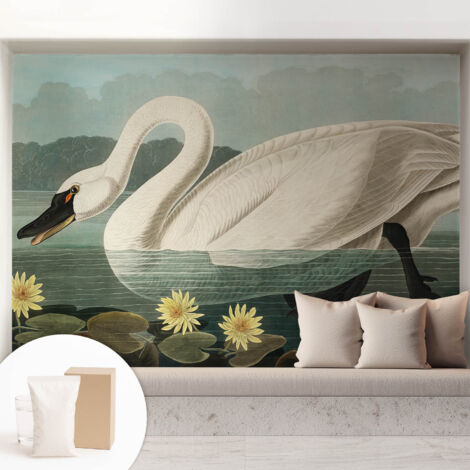 Papier peint intissé avec imprimé pour décoration intérieure pour rénovation a motif - Colle incluse gratuite Cygne et nénuphars 208x146 cm (1/5)