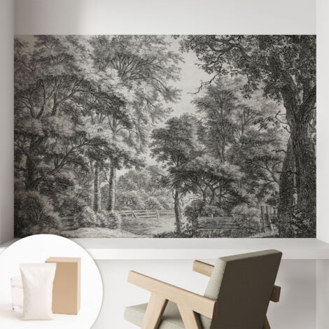 Papier peint intissé avec imprimé pour décoration intérieure pour rénovation a motif - Colle incluse gratuite Scène forestière 104x70 cm (1/5)