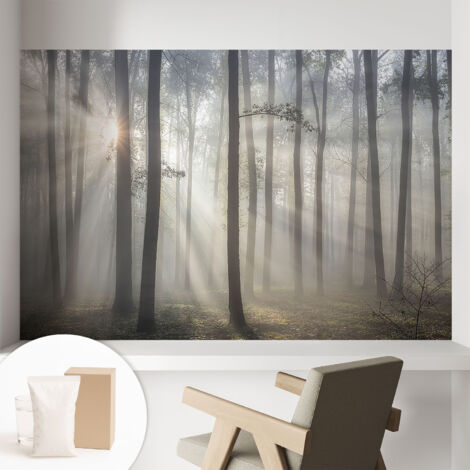Papier peint intissé pour salon chambre à coucher peint imprimé pour mur - Colle incluse gratuite Forêt éthérée 104x70 cm (1/5)
