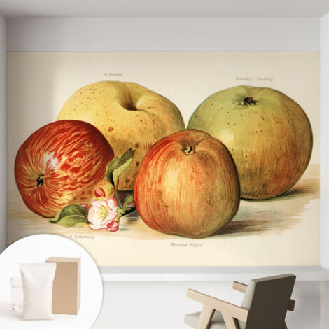 Papier peint intissé mural classique avec imprimé motifs décoratifs design élégant non‑tissé Pommes et fleurs 152x104 cm (1/5)