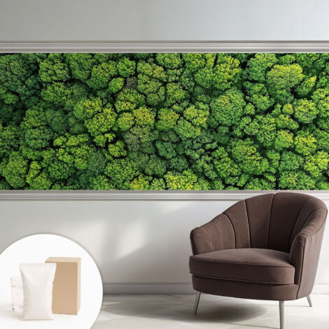 Papier peint intissé pour salon chambre à coucher peint imprimé Installation facile - Colle incluse gratuite Panorama forestier 250x104 cm (1/5)