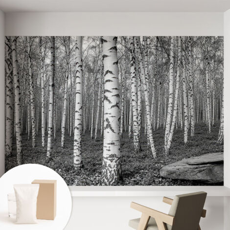 Papier peint avec colle pour décoration moderne de salon chambre à coucher cuisine et bureau Facile Forêt de bouleaux 152x104 cm (1/5)