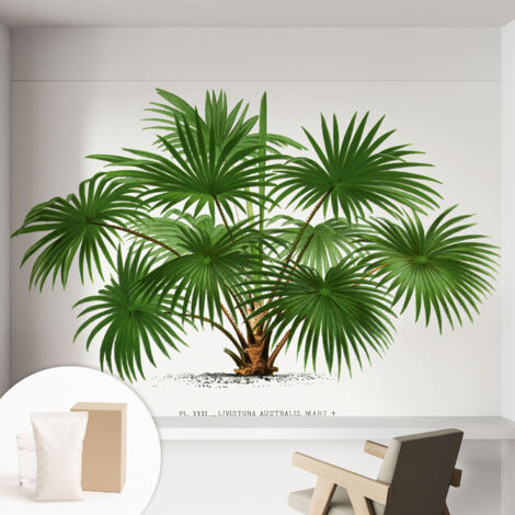 Papier peint intissé décoratif avec colle pour salon chambre et bureau Installation rapide Motif exotique 152x104 cm (1/5)