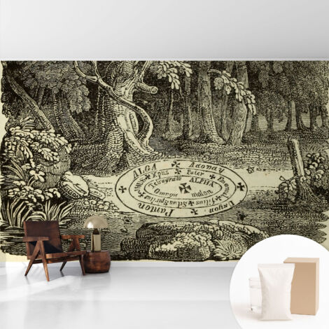 Papier peint intissé avec imprimé pour décoration intérieure pour rénovation a motif - Colle incluse gratuite Cercle magique 416x254 cm (1/5)