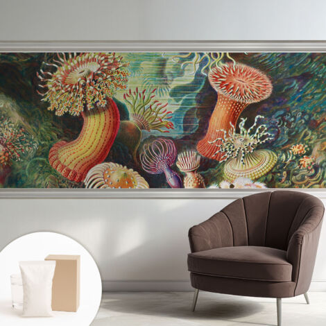 Papier peint intissé pour salon chambre à coucher peint imprimé pour mur - Colle incluse gratuite Anémones fantaisistes 250x104 cm (1/5)