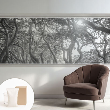 Papier peint intissé avec imprimé pour décoration intérieure pour rénovation a motif - Colle incluse gratuite Forêt atmosphérique 250x104 cm (1/5)