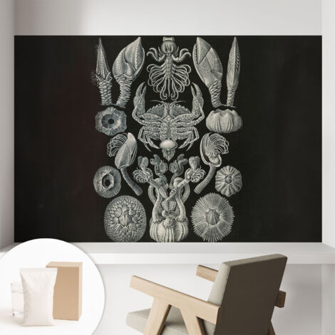 Papier peint intissé avec imprimé pour décoration intérieure pour rénovation a motif - Colle incluse gratuite Formes sous-marines 104x70 cm (1/5)