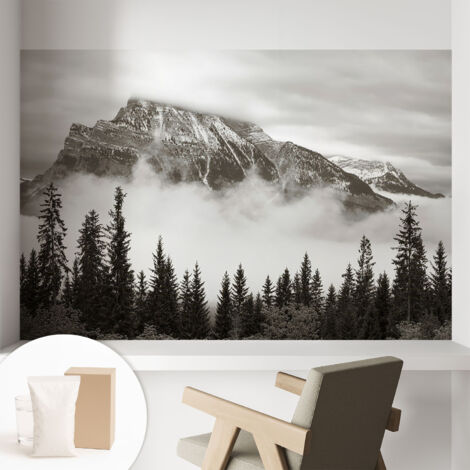 Papier peint intissé mural classique avec imprimé motifs décoratifs design élégant non‑tissé Paysage montagneux 104x70 cm (1/5)
