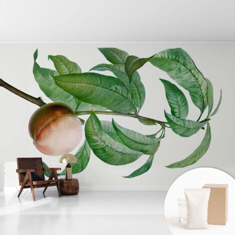 Papier peint décoratif avec colle pour salon, chambre à coucher et bureau – Design moderne et facile à poser Pêche mûre 416x254 cm (1/5)