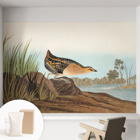 Papier peint intissé pour salon chambre à coucher peint imprimé Installation facile - Colle incluse gratuite Scène naturelle 152x104 cm (1/5)