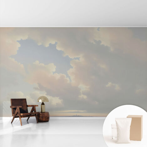 Papier peint intissé avec imprimé pour décoration intérieure pour rénovation a motif - Colle incluse gratuite Ciel pastel 416x254 cm (1/5)