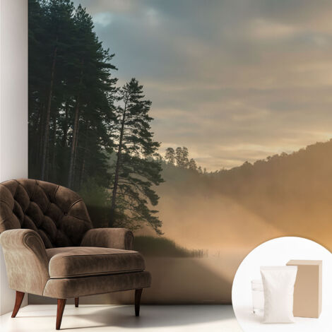 Papier peint intissé pour salon chambre à coucher peint imprimé Installation facile - Colle incluse gratuite Matin brumeux 250x250 cm (1/5)