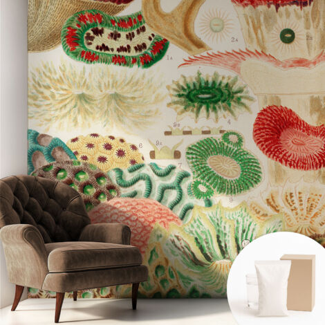 Papier peint intissé pour salon chambre à coucher peint imprimé Installation facile - Colle incluse gratuite Formes organiques 250x250 cm (1/5)