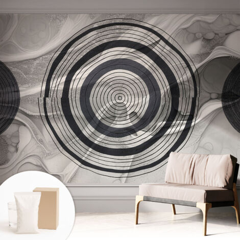 Papier peint intissé mural classique avec imprimé motifs décoratifs design élégant non‑tissé Cercles gris 312x219 cm (1/5)