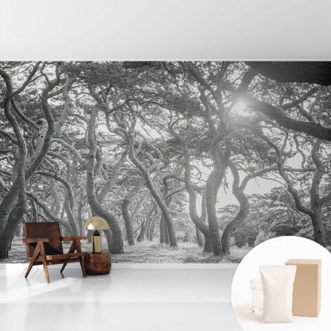 Papier peint intissé avec imprimé pour décoration intérieure pour rénovation a motif - Colle incluse gratuite Forêt atmosphérique 416x254 cm (1/5)