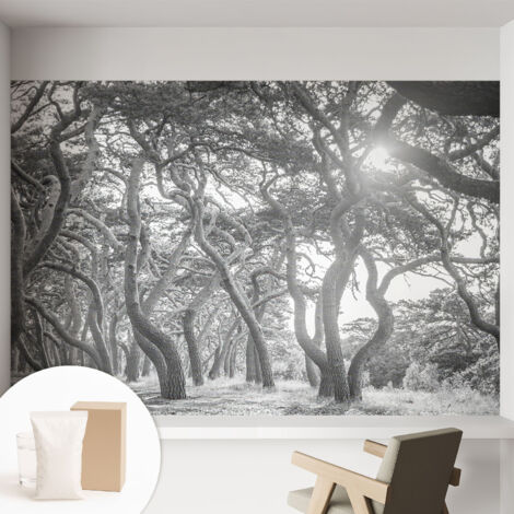 Papier peint intissé avec imprimé pour décoration intérieure pour rénovation a motif - Colle incluse gratuite Forêt atmosphérique 152x104 cm (1/5)