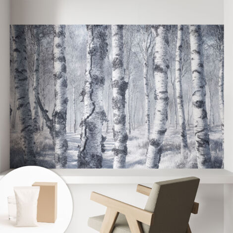 Papier peint avec colle pour décoration moderne de salon chambre à coucher cuisine et bureau Facile Nature hivernale 104x70 cm (1/5)