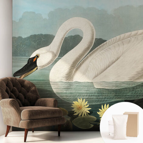 Papier peint intissé avec imprimé pour décoration intérieure pour rénovation a motif - Colle incluse gratuite Cygne et nénuphars 250x250 cm (1/5)