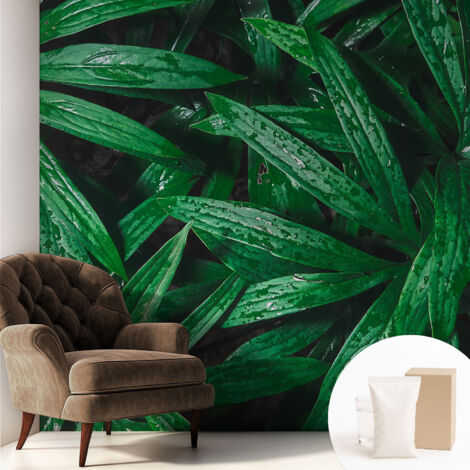 Papier peint intissé avec imprimé pour décoration intérieure pour rénovation a motif - Colle incluse gratuite Verdure naturelle 250x250 cm (1/5)