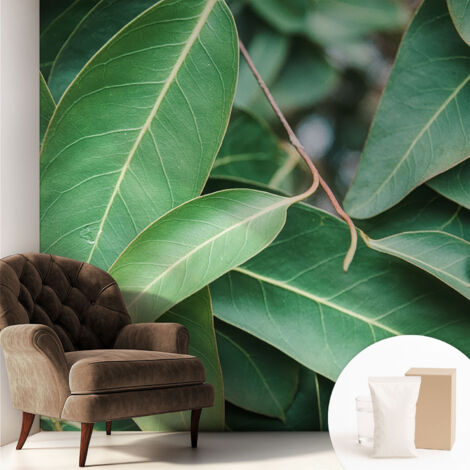 Papier peint intissé décoratif pour chambre et salon Design moderne à poser facilement - Colle incluse gratuite Feuilles vertes 250x250 cm (1/5)