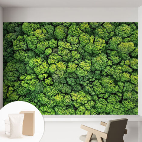 Papier peint intissé pour salon chambre à coucher peint imprimé Installation facile - Colle incluse gratuite Panorama forestier 152x104 cm (1/5)