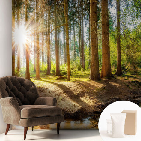 Papier peint intissé pour salon chambre à coucher peint imprimé pour mur - Colle incluse gratuite Idyllique forêt 250x250 cm (1/5)