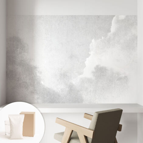 Papier peint intissé mural classique avec imprimé motifs décoratifs design élégant non‑tissé Nuages subtils 104x70 cm (1/5)
