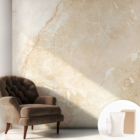 Papier peint intissé mural pour salon chambre à coucher tendance et originale - Colle incluse gratuite Pierre naturelle 250x250 cm (1/5)