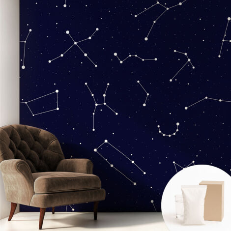 Papier peint intissé pour salon chambre à coucher peint imprimé pour mur - Colle incluse gratuite Ciel étoilé 250x250 cm (1/5)