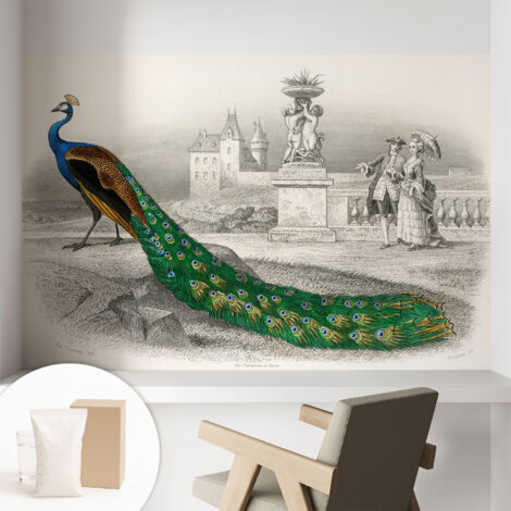 Papier peint intissé pour salon chambre à coucher peint imprimé Installation facile - Colle incluse gratuite Plumes colorées 104x70 cm (1/5)