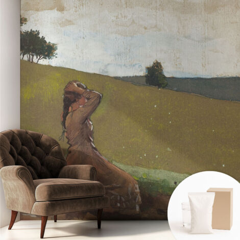 Papier peint intissé décoratif pour chambre et salon Design moderne à poser facilement - Colle incluse gratuite Scène paisible 250x250 cm (1/5)