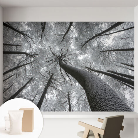 Papier peint intissé avec imprimé pour intérieur moderne application facile a motif - Colle incluse gratuite Paysage hivernal 152x104 cm (1/5)