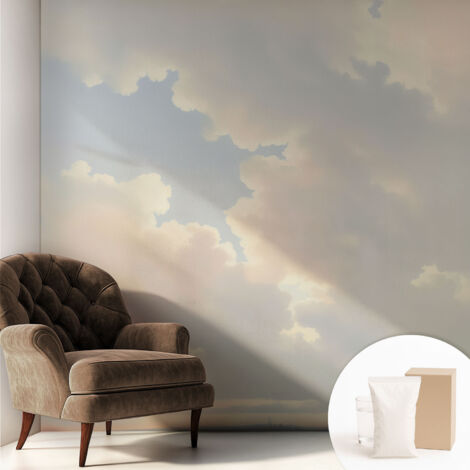 Papier peint intissé avec imprimé pour décoration intérieure pour rénovation a motif - Colle incluse gratuite Ciel pastel 250x250 cm (1/5)