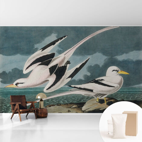 Papier peint intissé mural avec imprimé motifs décoratifs - style contemporain - Colle incluse gratuite Oiseaux au bord de la mer 416x254 cm (1/5)