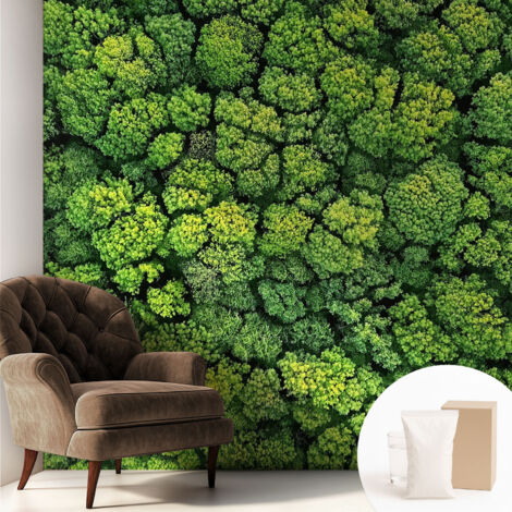 Papier peint intissé pour salon chambre à coucher peint imprimé Installation facile - Colle incluse gratuite Panorama forestier 250x250 cm (1/5)