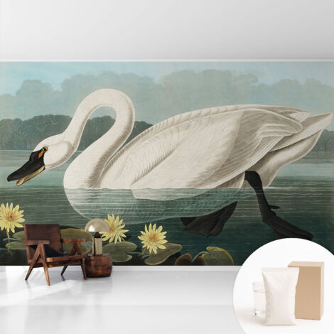 Papier peint intissé avec imprimé pour décoration intérieure pour rénovation a motif - Colle incluse gratuite Cygne et nénuphars 416x254 cm (1/5)