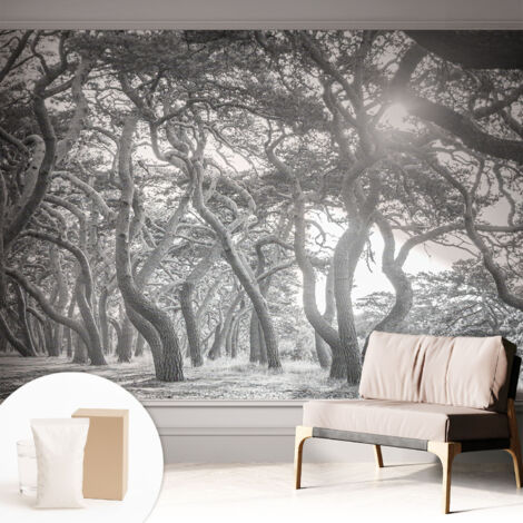 Papier peint intissé avec imprimé pour décoration intérieure pour rénovation a motif - Colle incluse gratuite Forêt atmosphérique 312x219 cm (1/5)