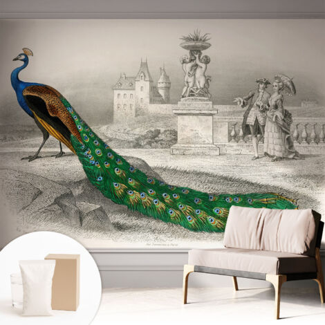 Papier peint intissé pour salon chambre à coucher peint imprimé Installation facile - Colle incluse gratuite Plumes colorées 312x219 cm (1/5)