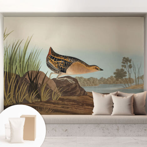 Papier peint intissé pour salon chambre à coucher peint imprimé Installation facile - Colle incluse gratuite Scène naturelle 208x146 cm (1/5)