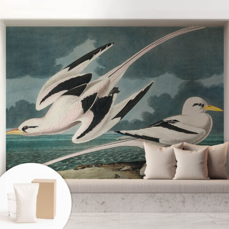 Papier peint intissé mural avec imprimé motifs décoratifs - style contemporain - Colle incluse gratuite Oiseaux au bord de la mer 208x146 cm (1/5)